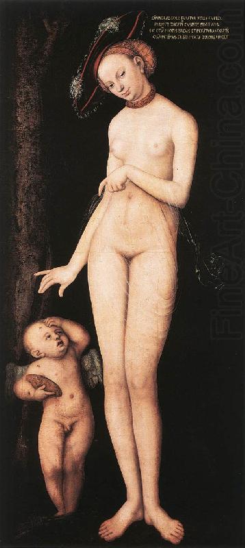 CRANACH, Lucas the Elder Venus and Cupid dsf china oil painting image